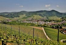 5 ok, amiért egy település nem hagyhatja ki a Falusi Turizmus fellendítéséért szóló programot