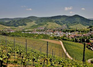 5 ok, amiért egy település nem hagyhatja ki a Falusi Turizmus fellendítéséért szóló programot